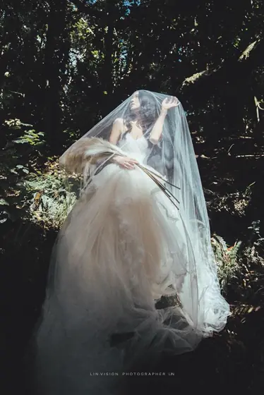 Lin’s Vision — Forest & gardens photography