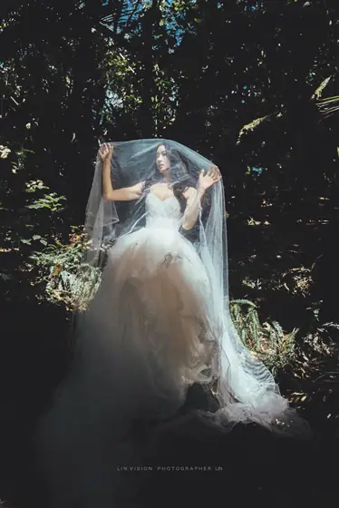 Lin’s Vision — Forest & gardens photography