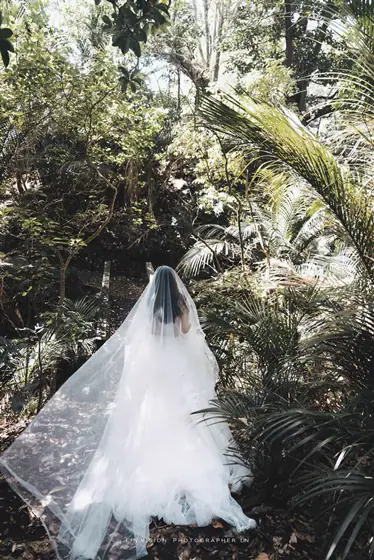 Lin’s Vision — Forest & gardens photography