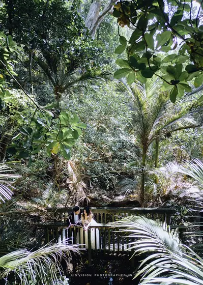 Lin’s Vision — Forest & gardens photography