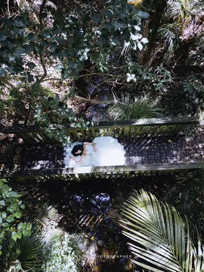 Lin’s Vision — Forest & gardens photography